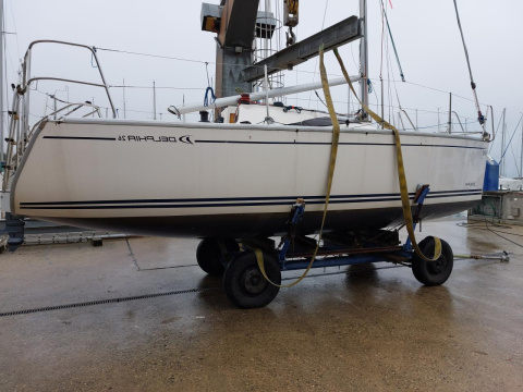 Delphia Delphia26