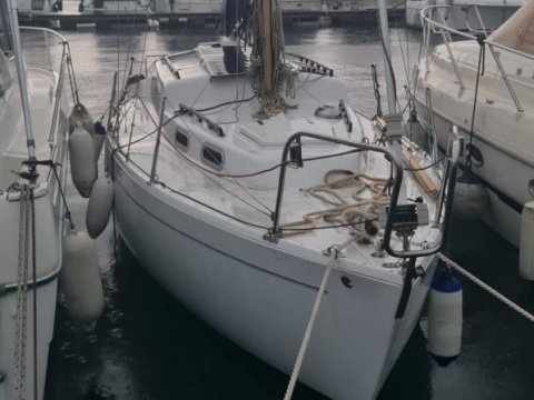 Vega Albin Vega 27