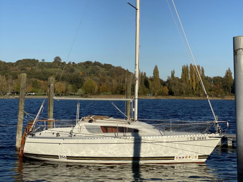 Kirie Feeling 256 DL