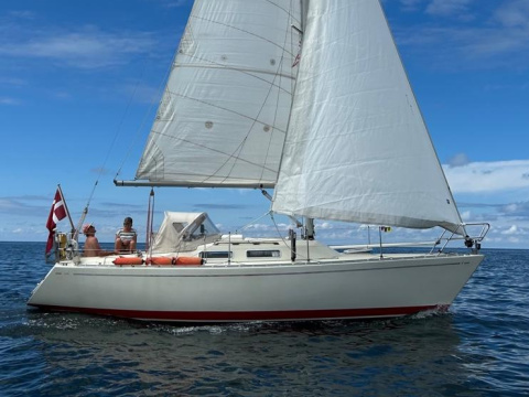 1983 Albin Marine Albin Delta, DKK 145.000,-