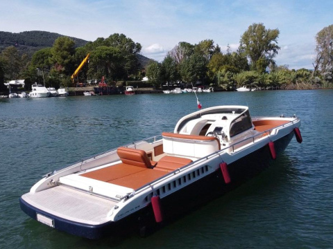 Iguana 36