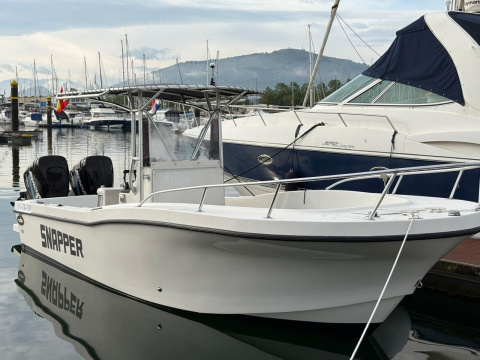 DUSKY 26