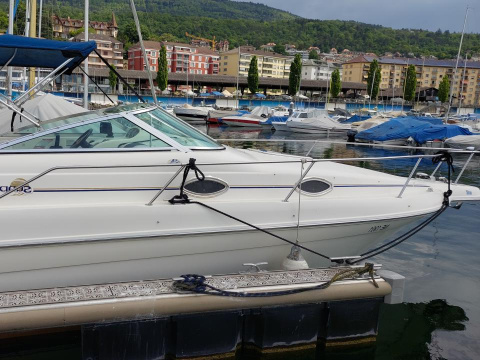 Sea Ray DA Sundancer 250