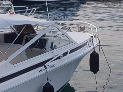 Bertram Moppie 28