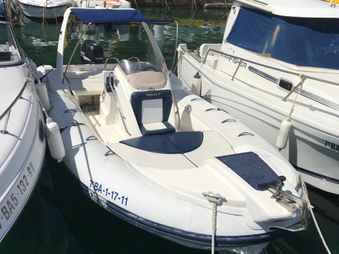 Gruppo Mare pholas 21