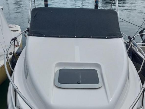 Drago 550