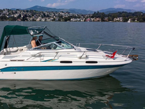 Sea Ray 230DA