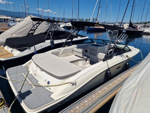 Sea Ray SPX210