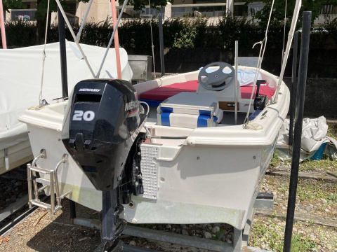 QuickSilver 440, 20cv