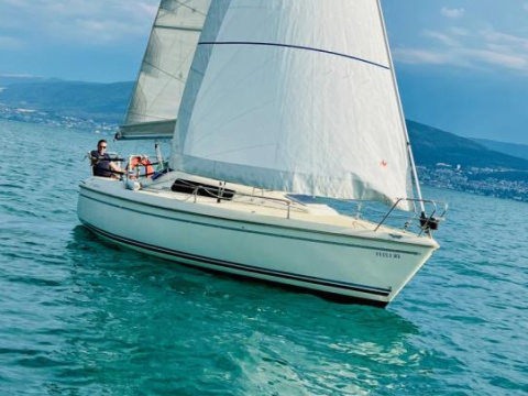 Pelle Peterson Maxi Fenix