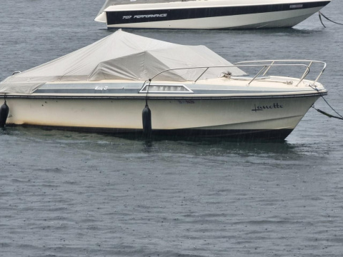 Windy 23 FC