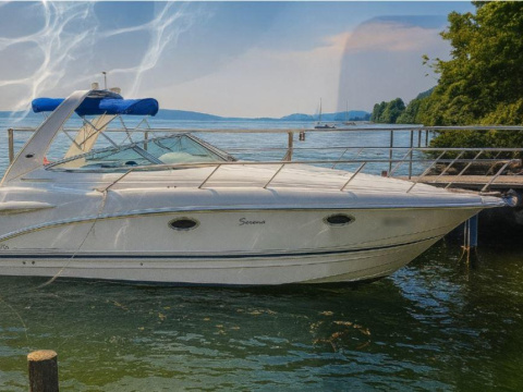 Chaparral Signature 280