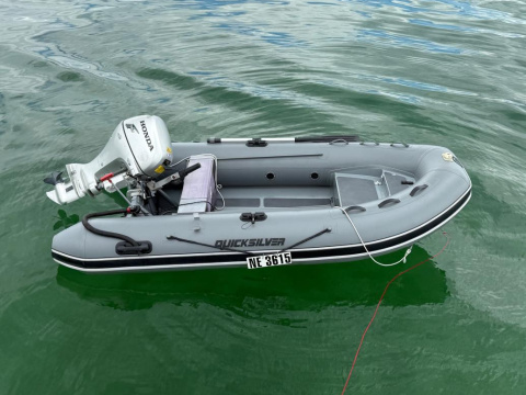 Quicksilver Alu-Rib 320