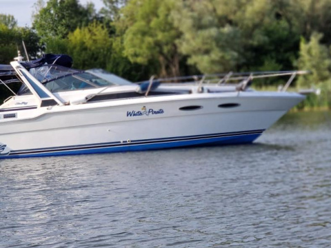 Sea Ray 300 da