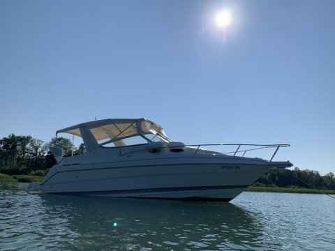 Wellcraft Martiniqe 2400