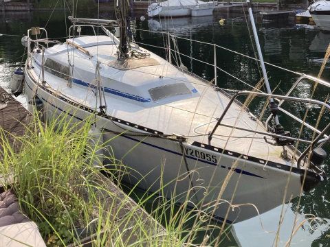 Neptun 27