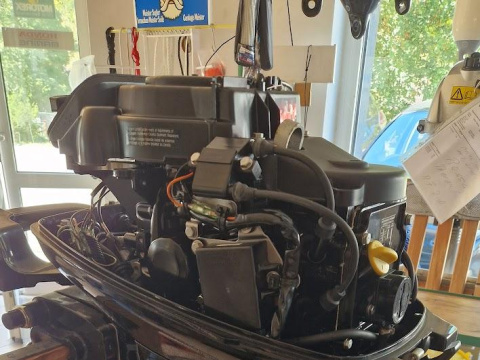 Mercury F20MH