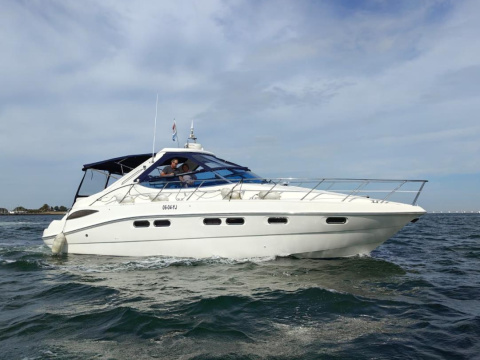Sealine S41