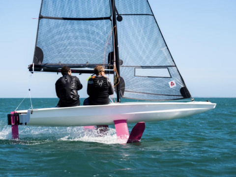 BirdyFish Race Version