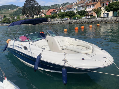 Sea Ray 240 SD