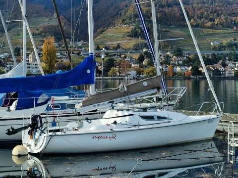 Archambault Surprise