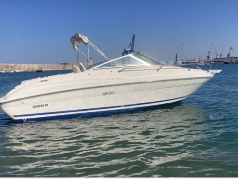 Sea Ray 210