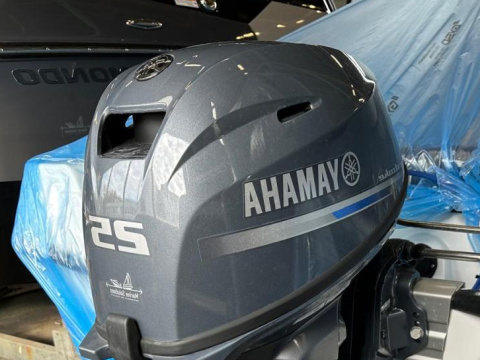 Yamaha F25GETL