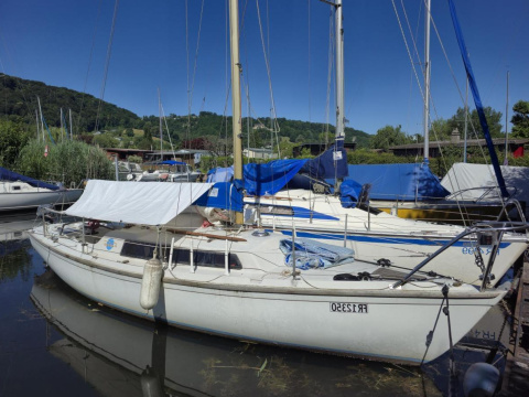 Butler Achilles 24