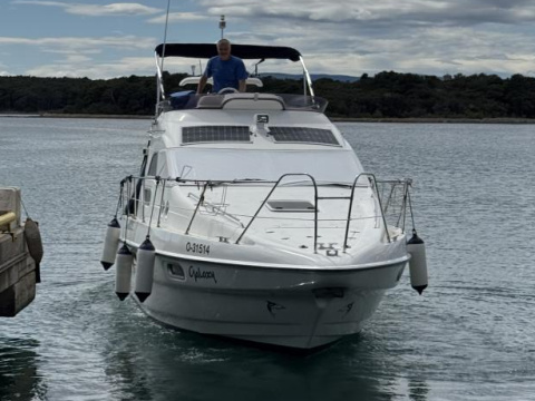 Sealine F33