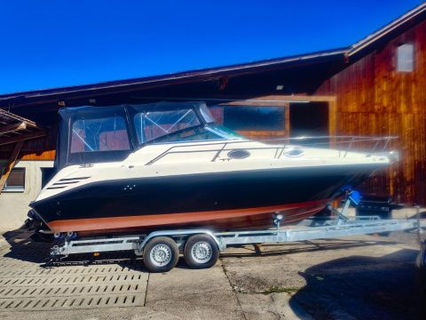 Sea Ray 250 DA Sundancer