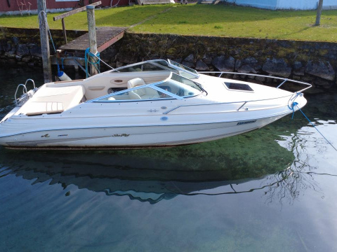 Sea Ray 200 Overnighter Select