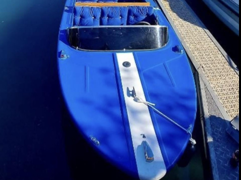 Schweizer Saphir II 1973