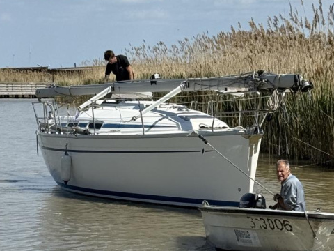 Bavaria 31