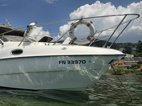 Sealine S23