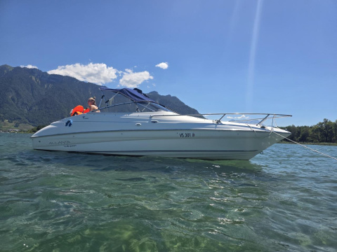 Campion Allante 6251