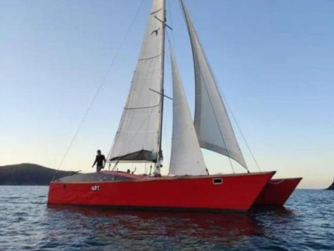 Wadvogel 38