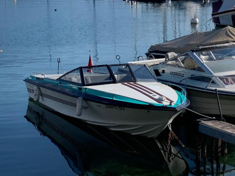 Schweizer Saphir 560 Colombia