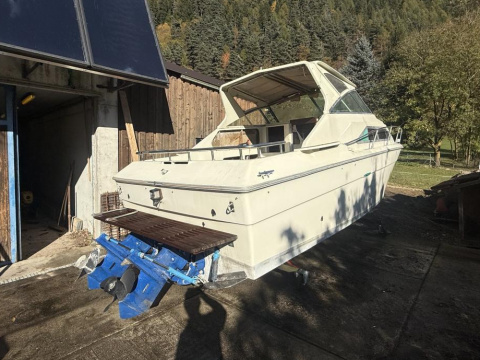 Sea Ray Srw 260