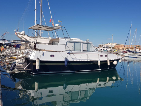 Schwarz Imperator 41