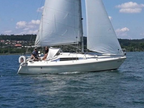 Maxi Fenix