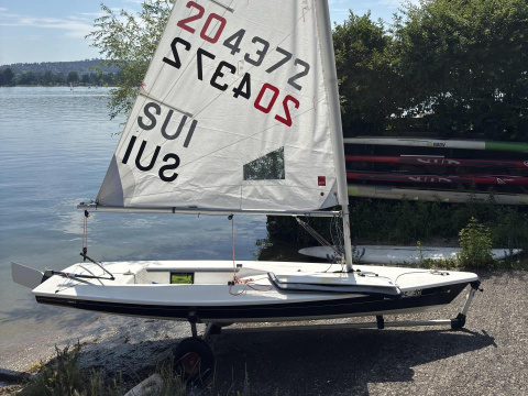 Laser Standard / Radial