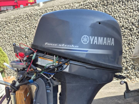 Yamaha FT9.9LEX