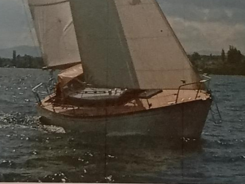 Wagner Warisa 830