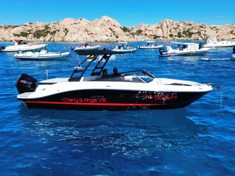 Sea Ray 230 Outboard