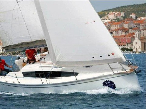 Delphia 31