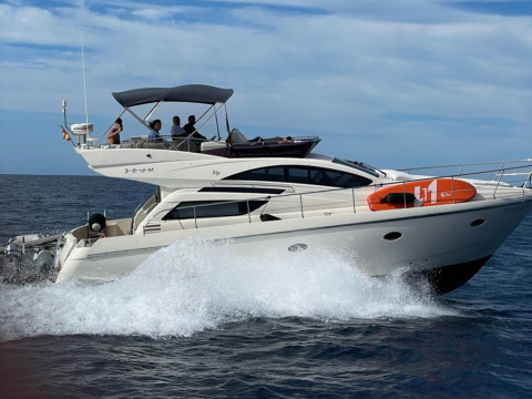 Rodman Muse 44