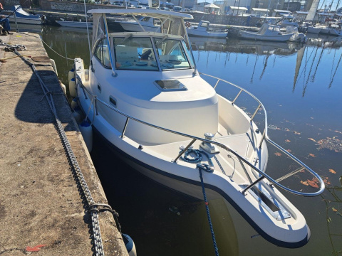 Pursuit 2870 Walkaround