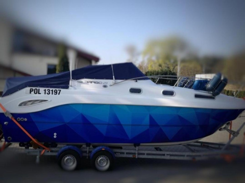Drago 29