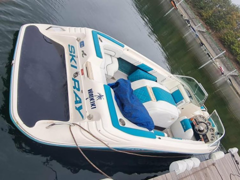 Sea Ray 190 Sportster