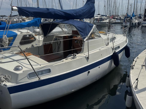 Albin 82 ms